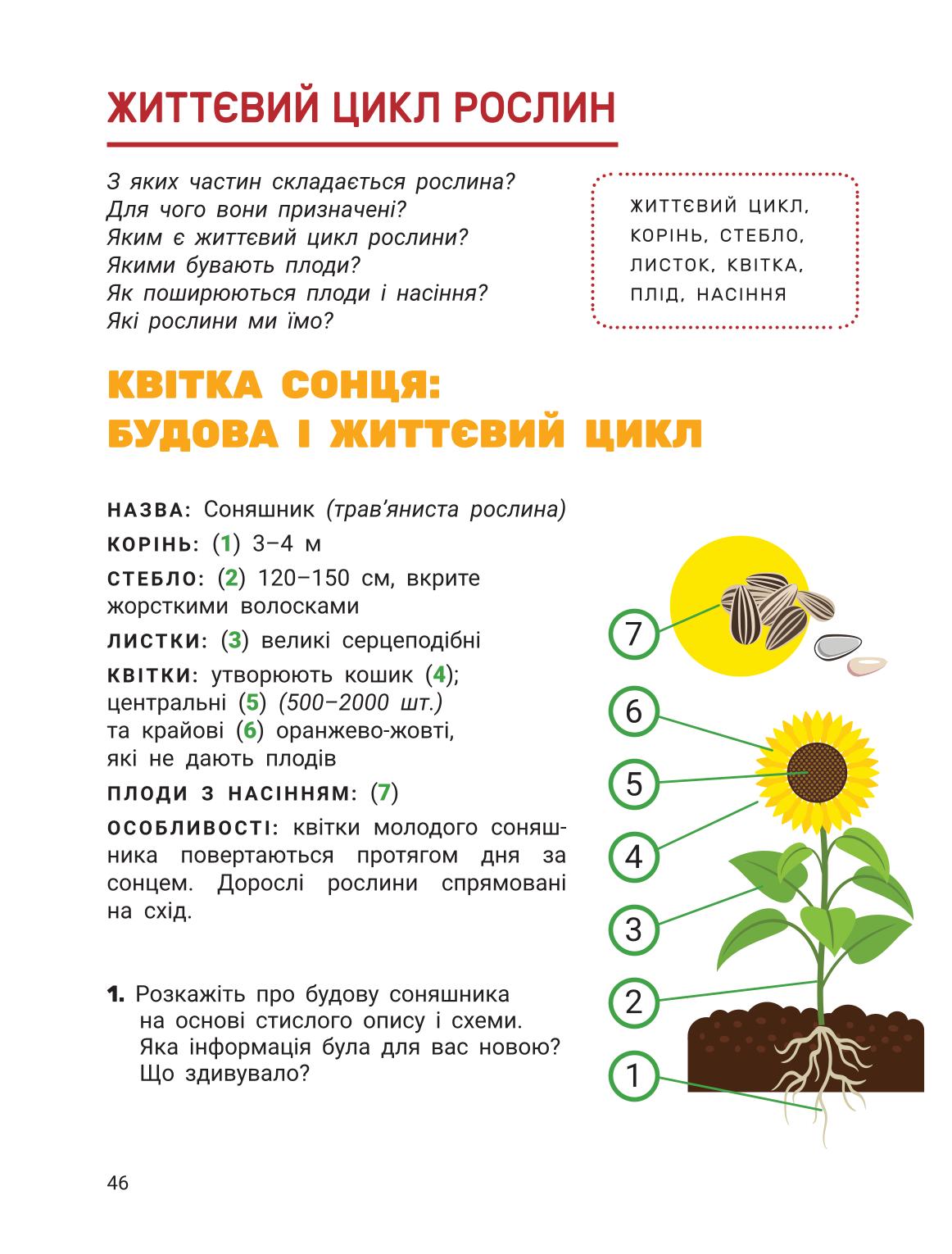 Мініатюра 45