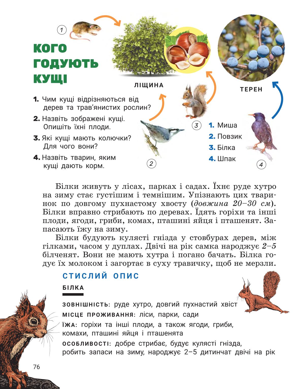 Мініатюра 75