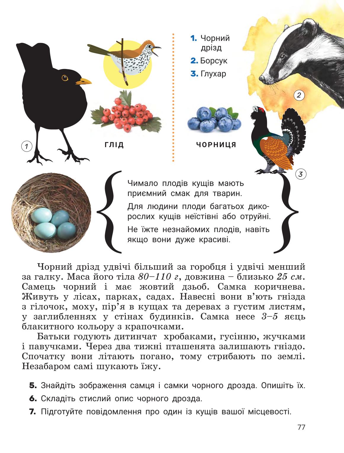 Мініатюра 76
