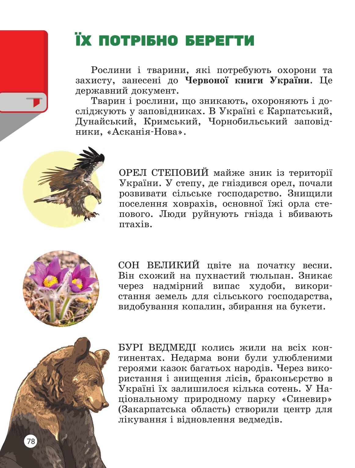 Мініатюра 77