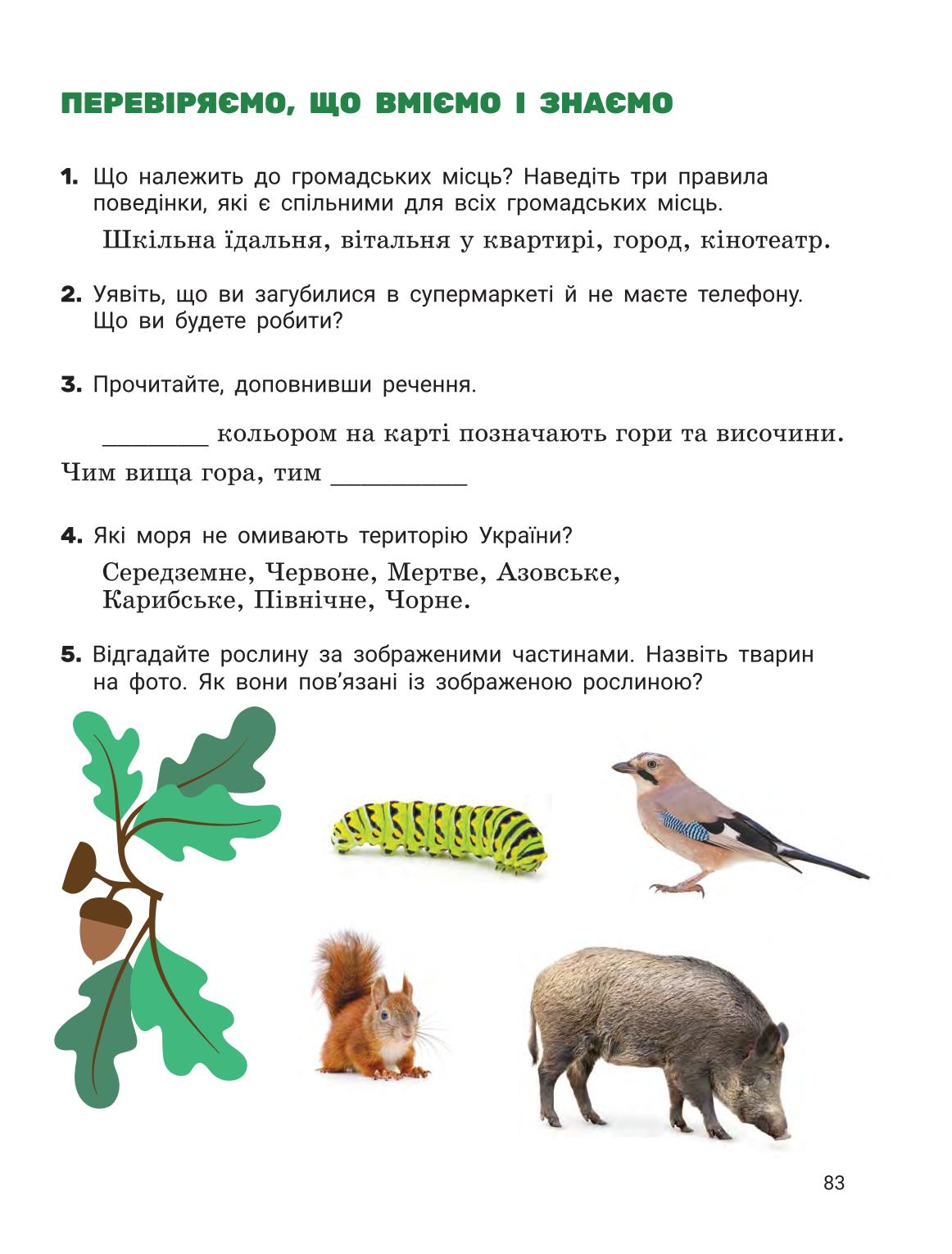 Мініатюра 82