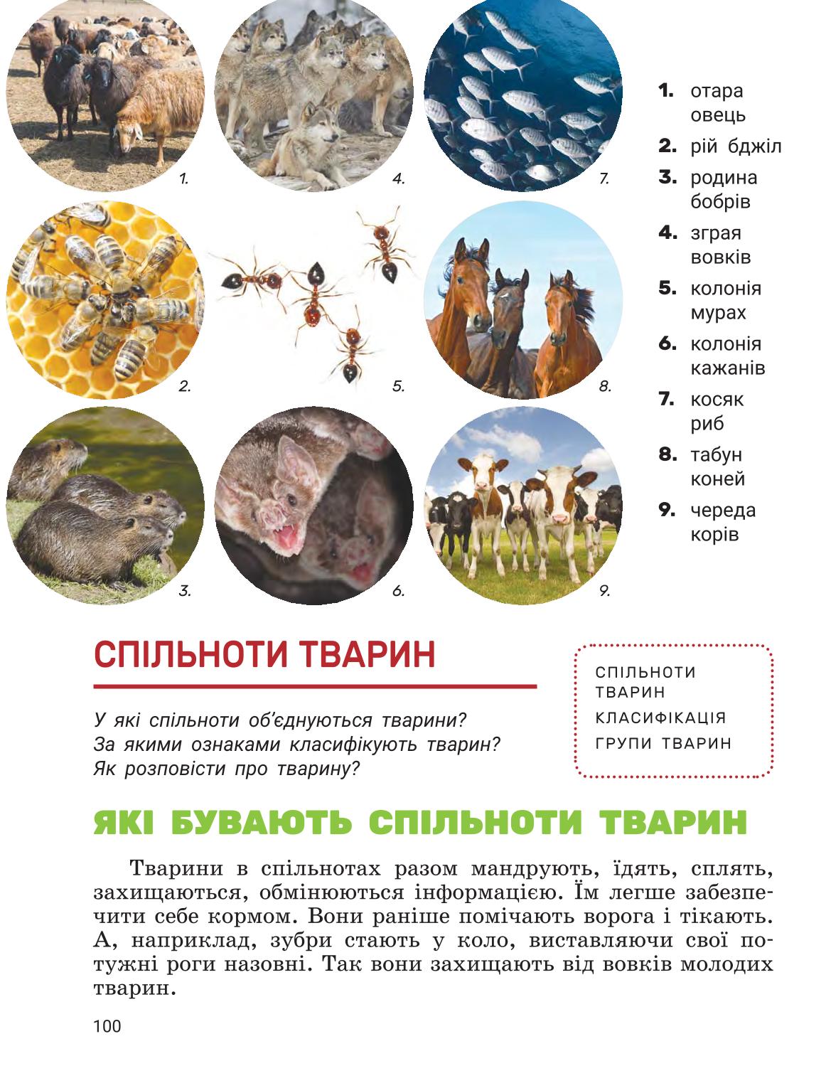 Мініатюра 99
