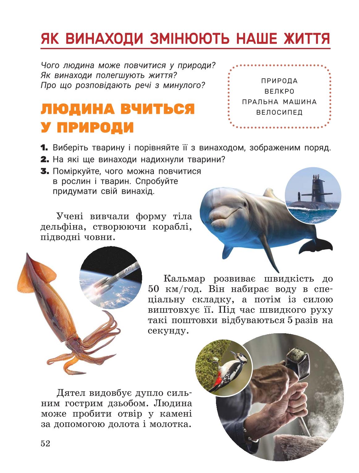 Мініатюра 52
