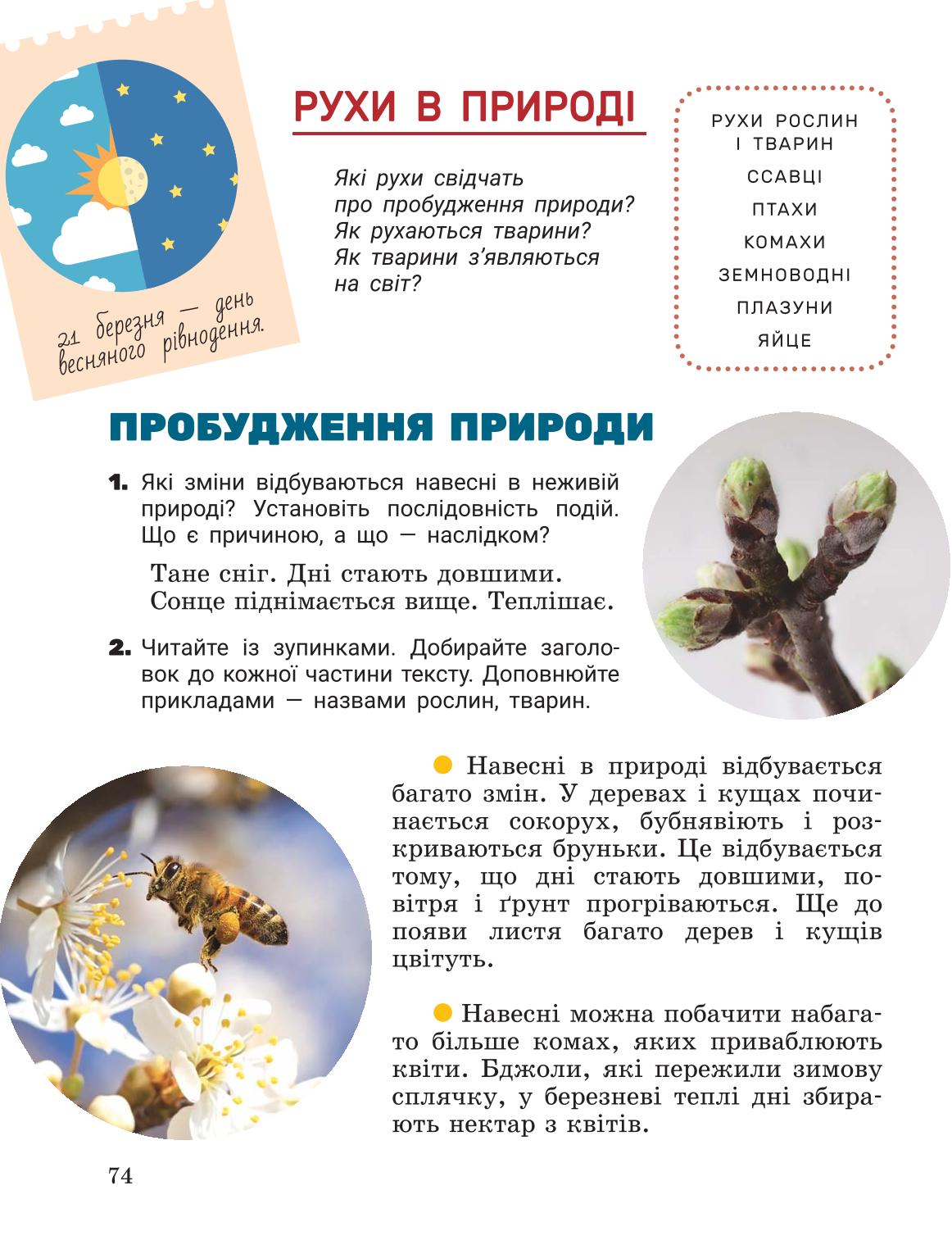 Мініатюра 74