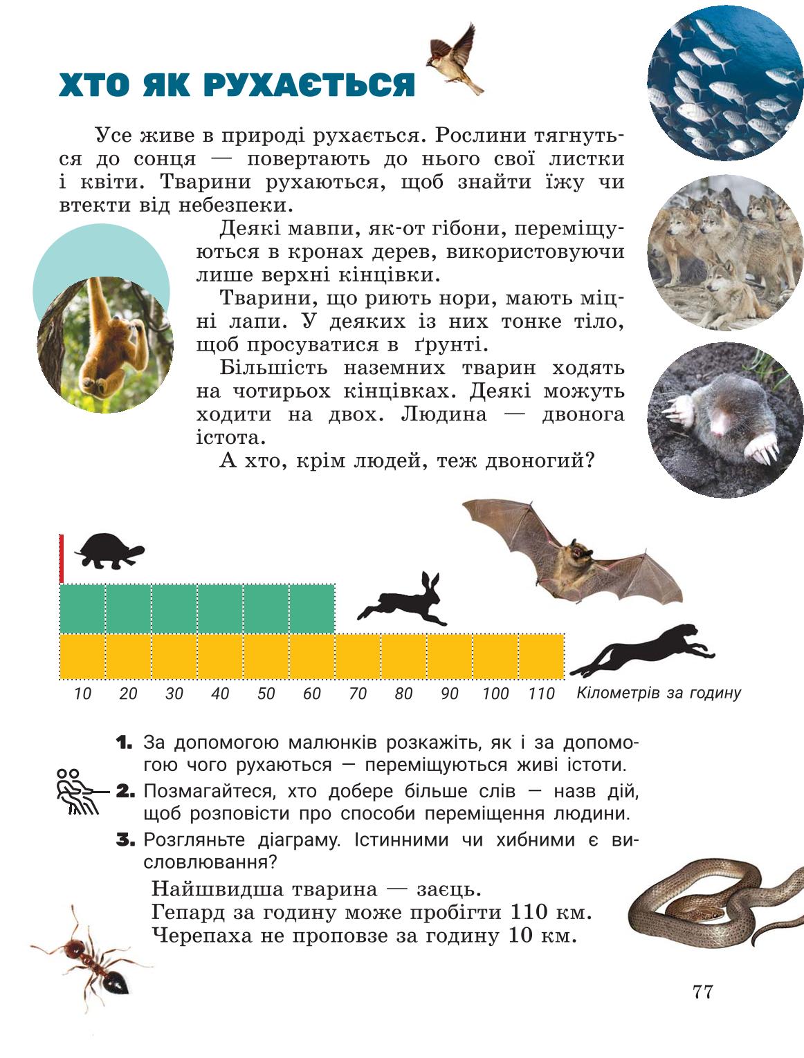 Мініатюра 77