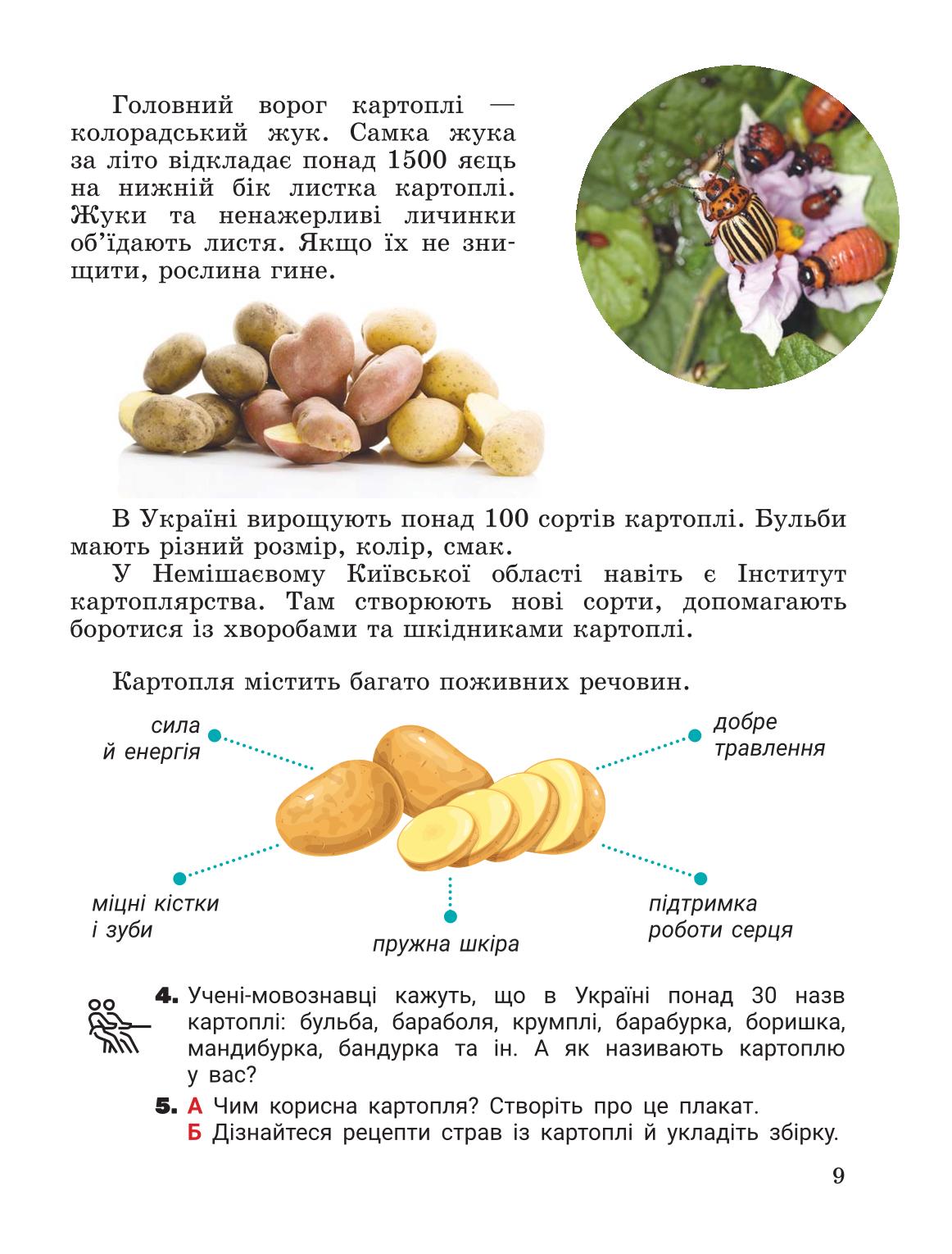 Мініатюра 9