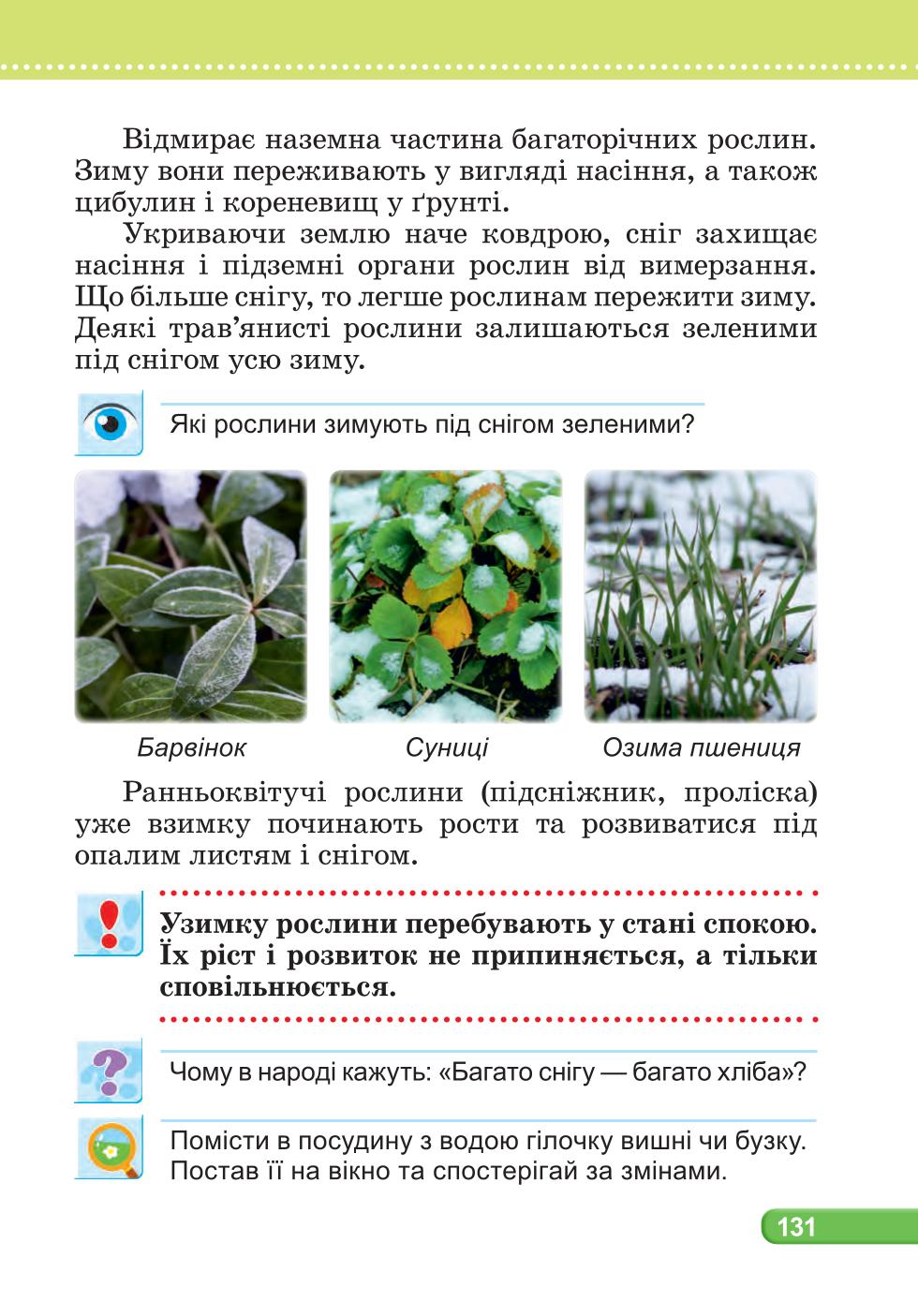 Мініатюра 131
