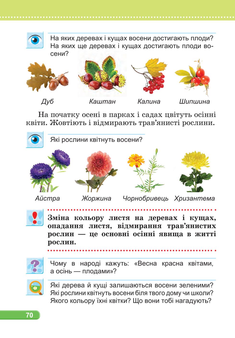 Мініатюра 70