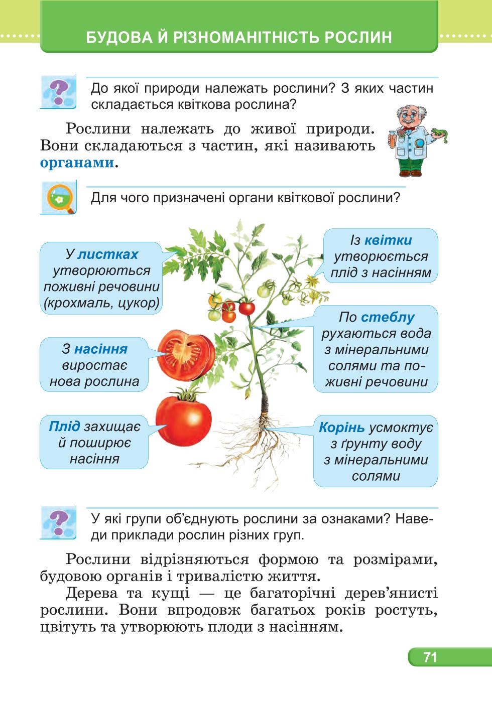Мініатюра 71
