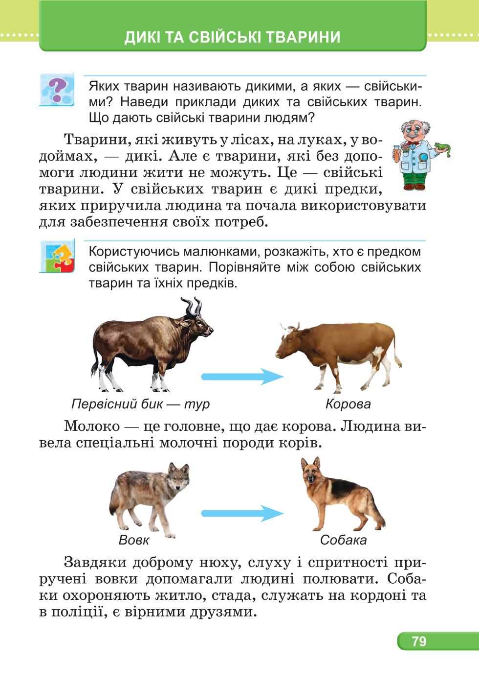 Мініатюра 79