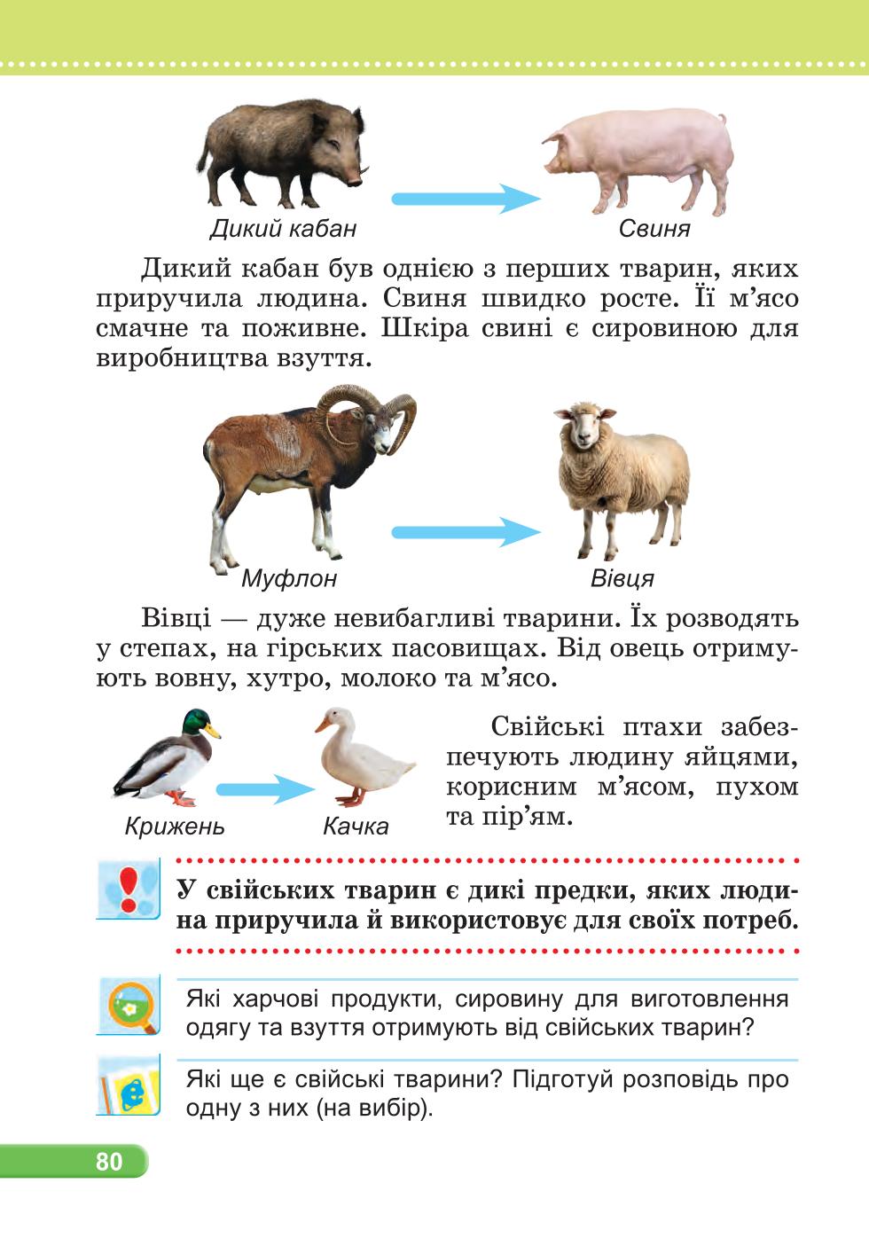 Мініатюра 80