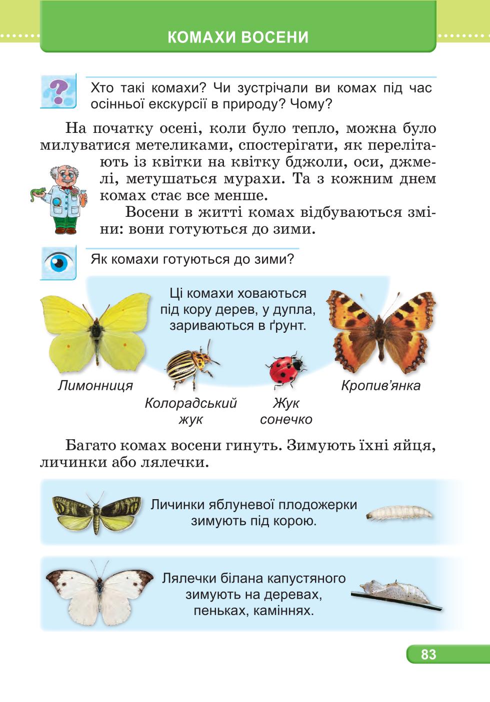 Мініатюра 83