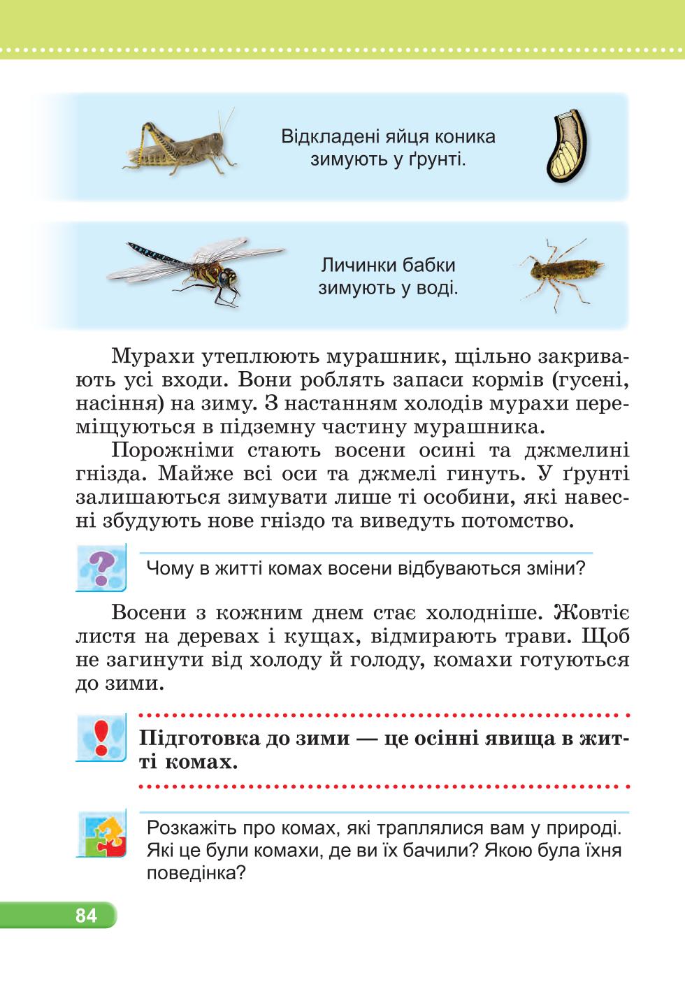 Мініатюра 84