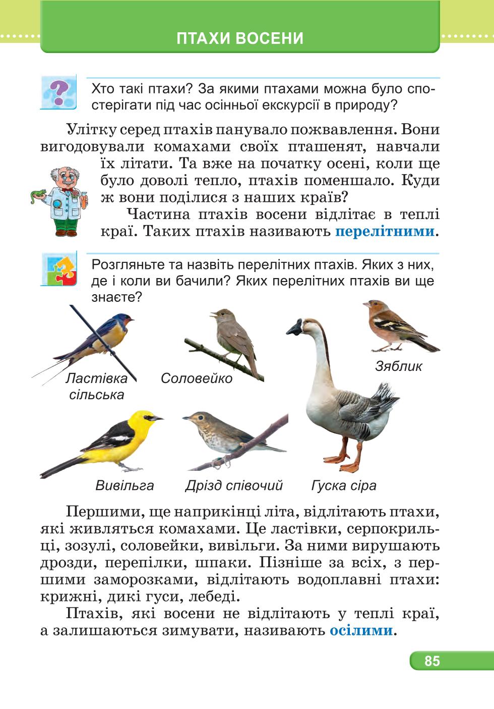 Мініатюра 85