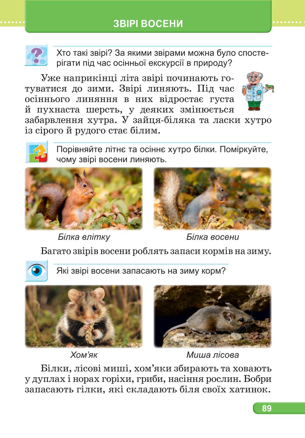 Мініатюра 89