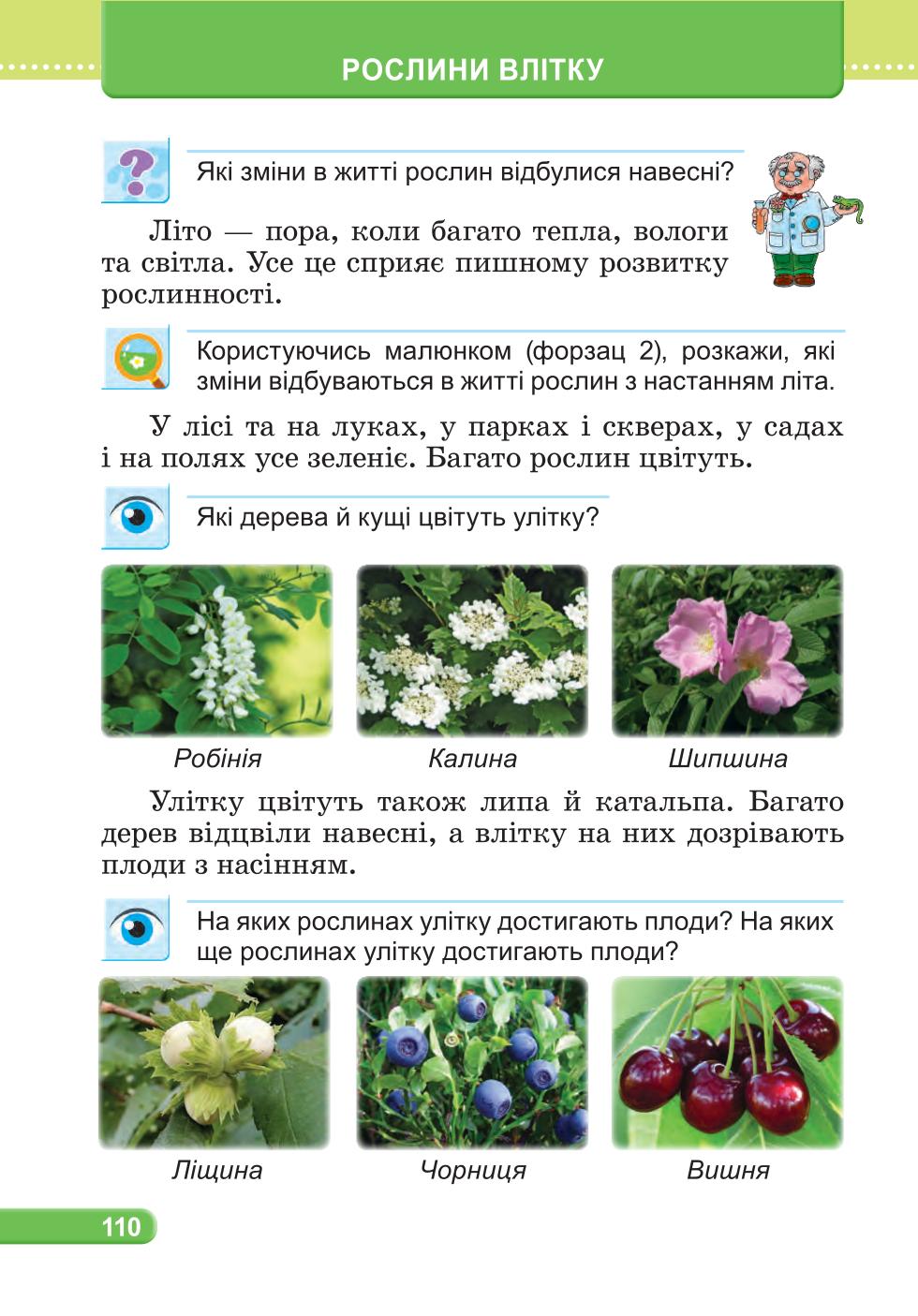Мініатюра 110