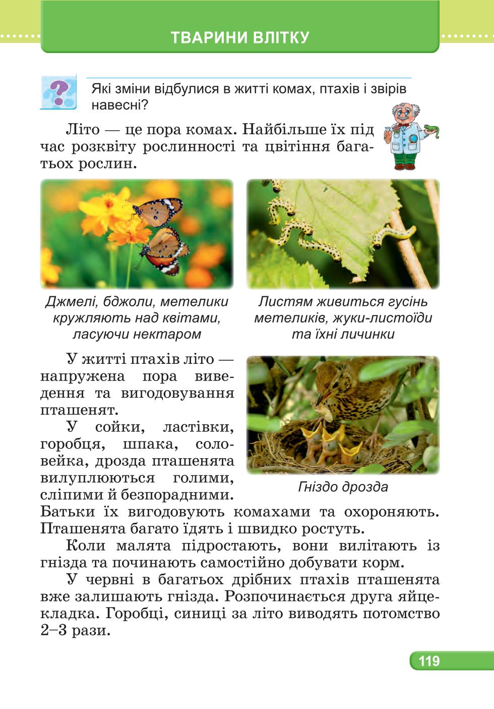 Мініатюра 119