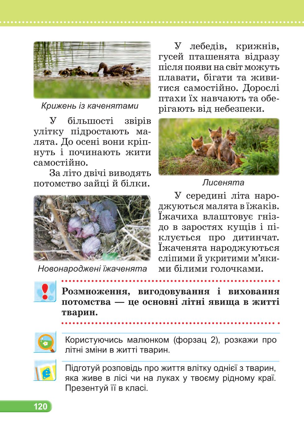 Мініатюра 120
