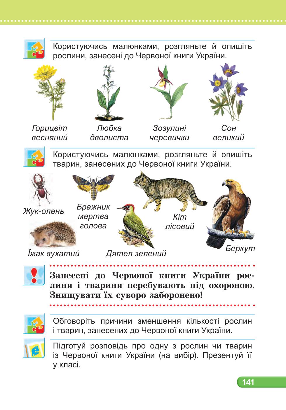Мініатюра 141
