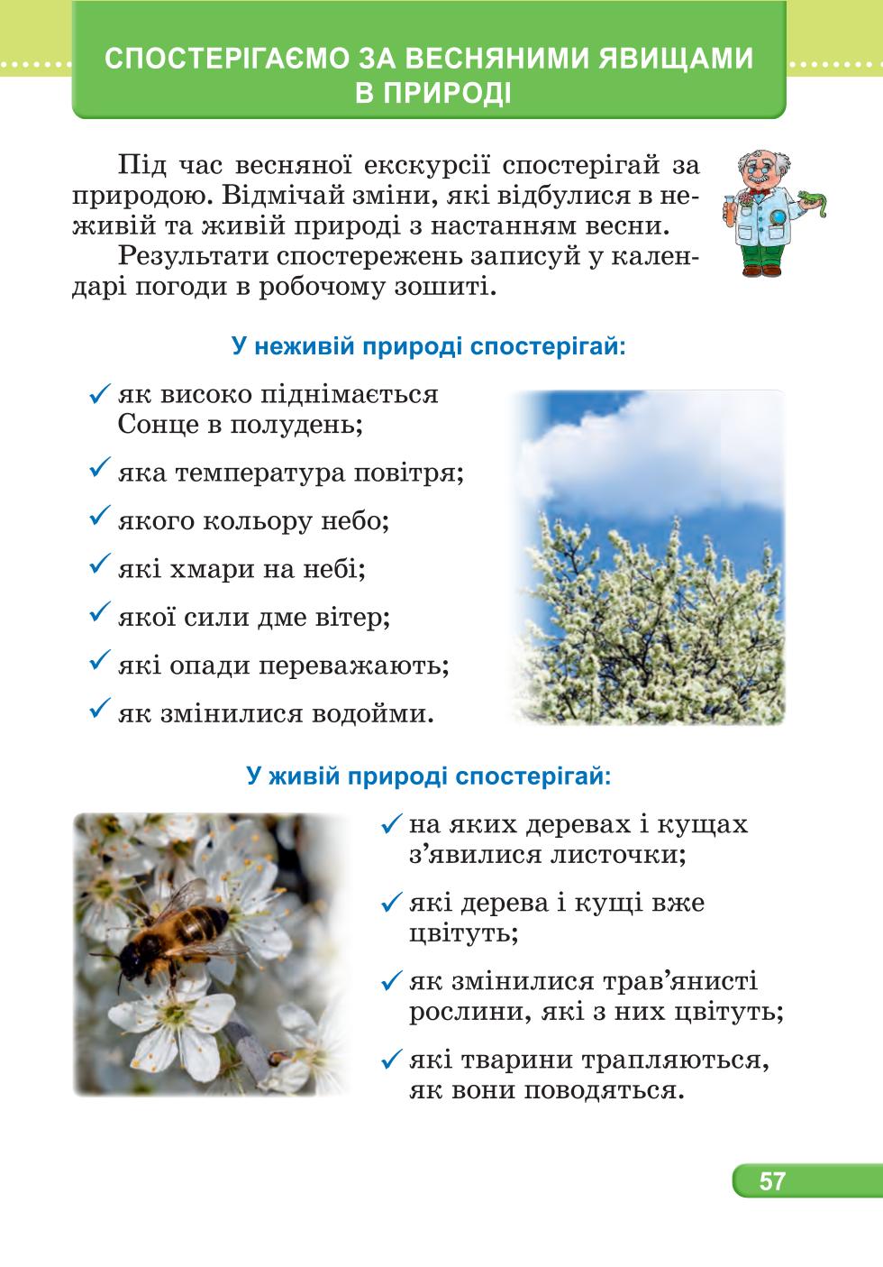 Мініатюра 57