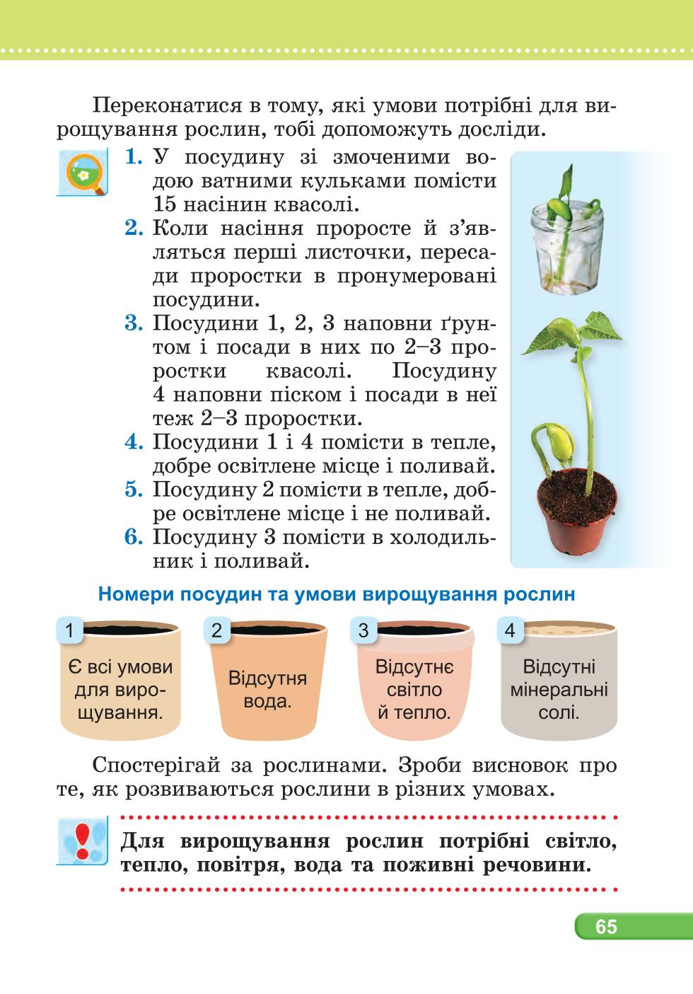 Мініатюра 65