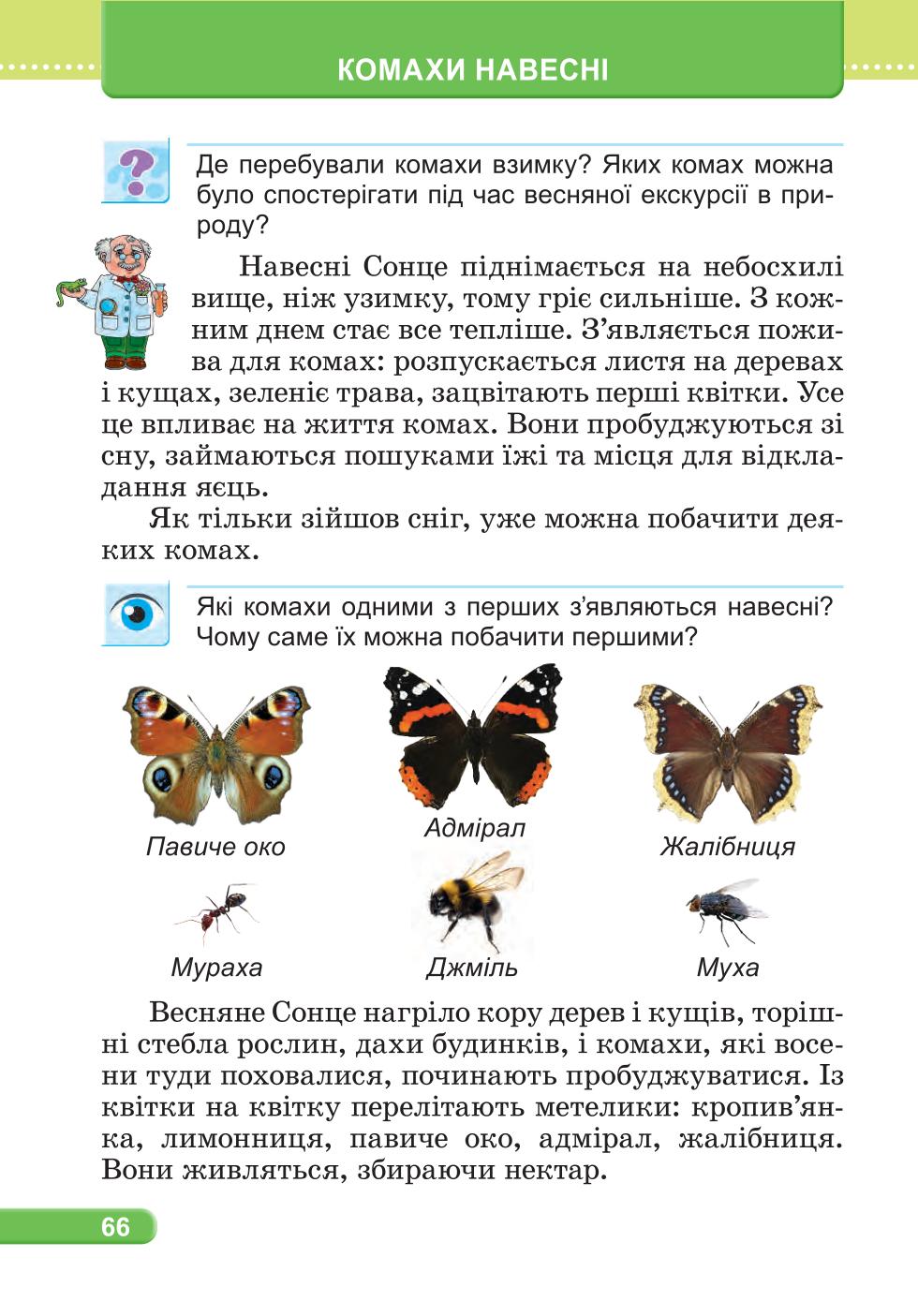 Мініатюра 66