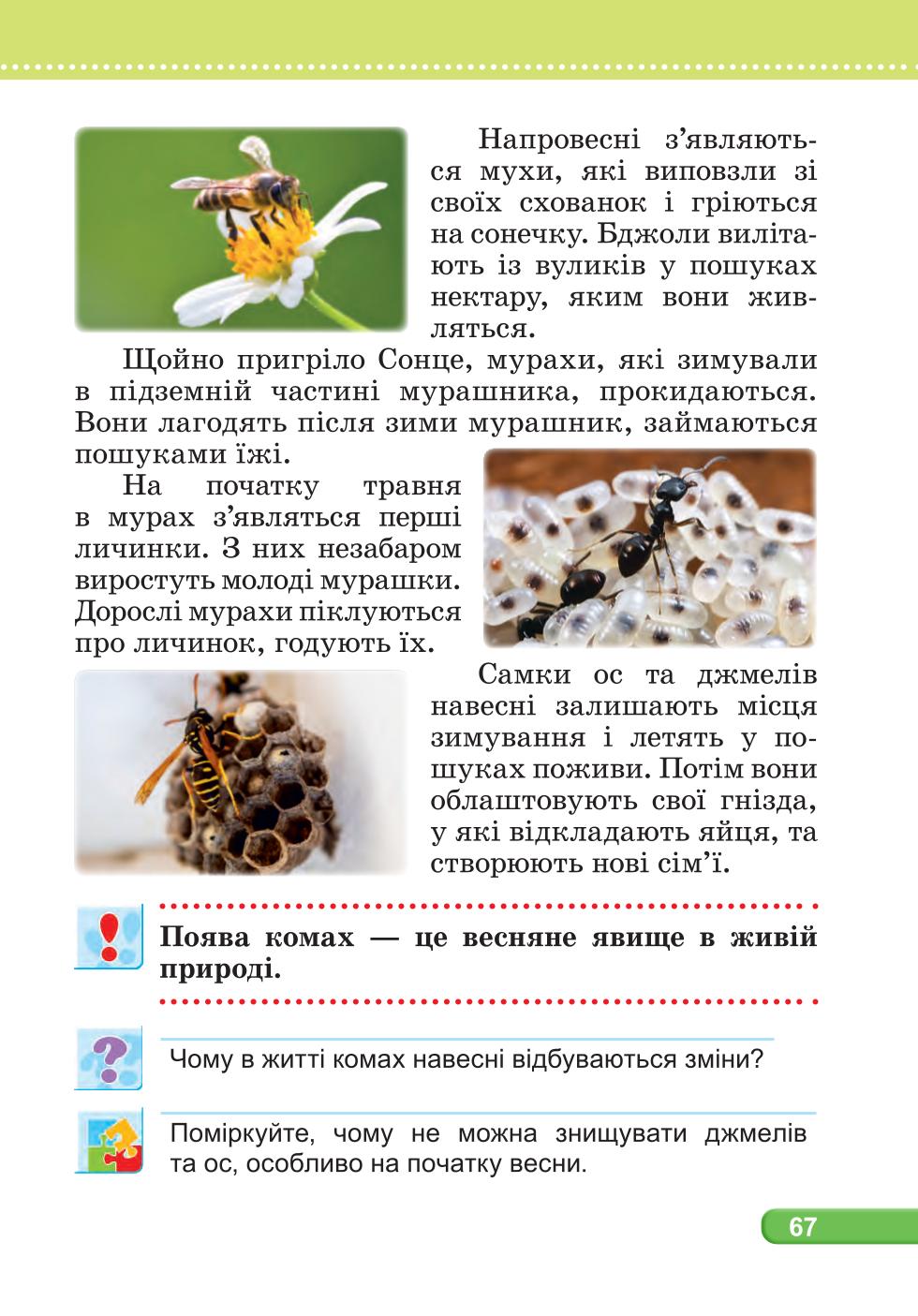 Мініатюра 67