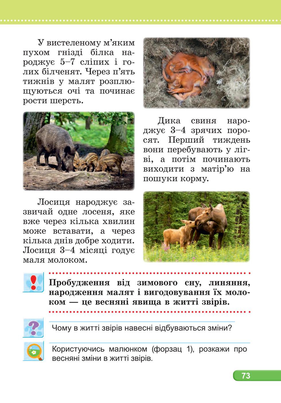 Мініатюра 73