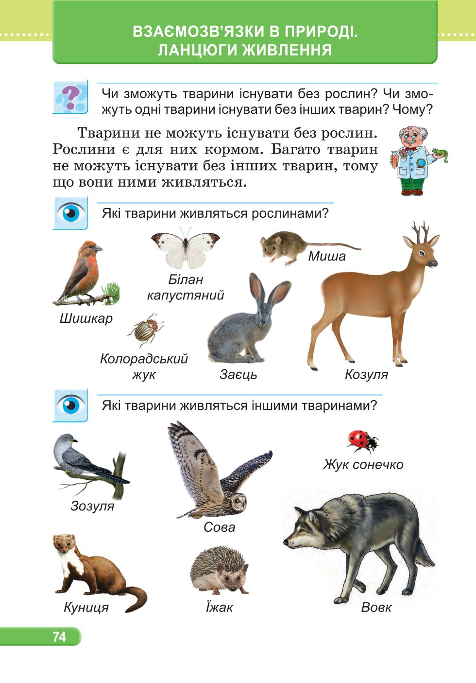 Мініатюра 74
