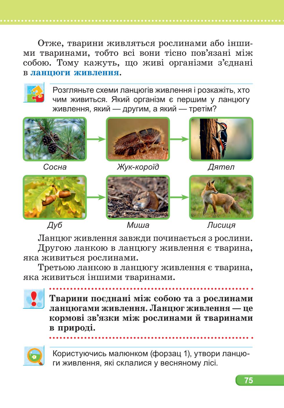 Мініатюра 75