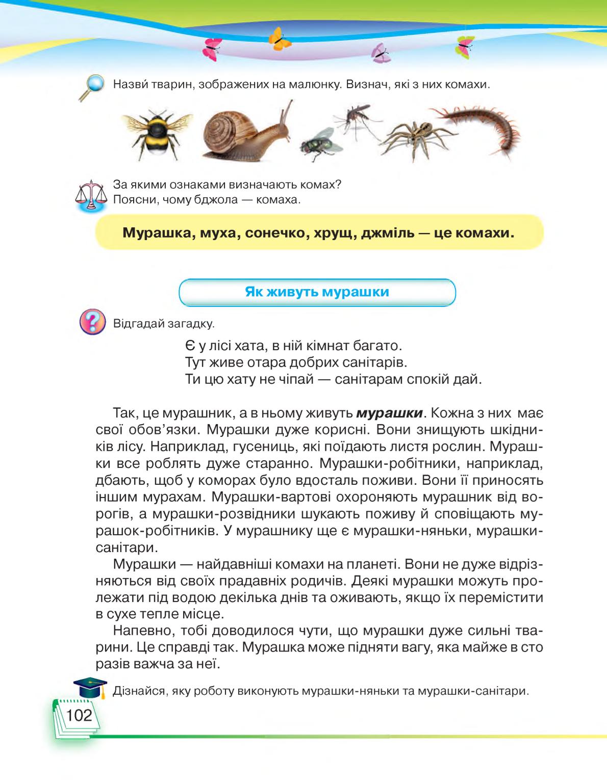 Мініатюра 102