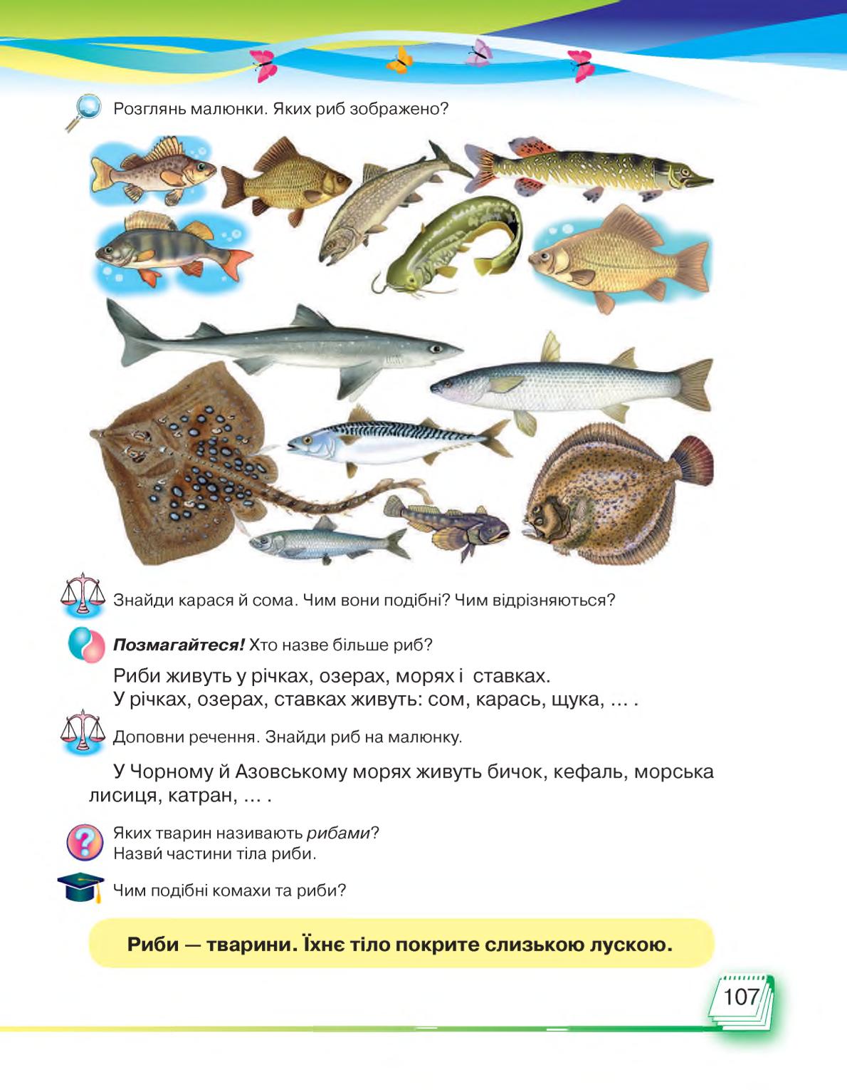 Мініатюра 107