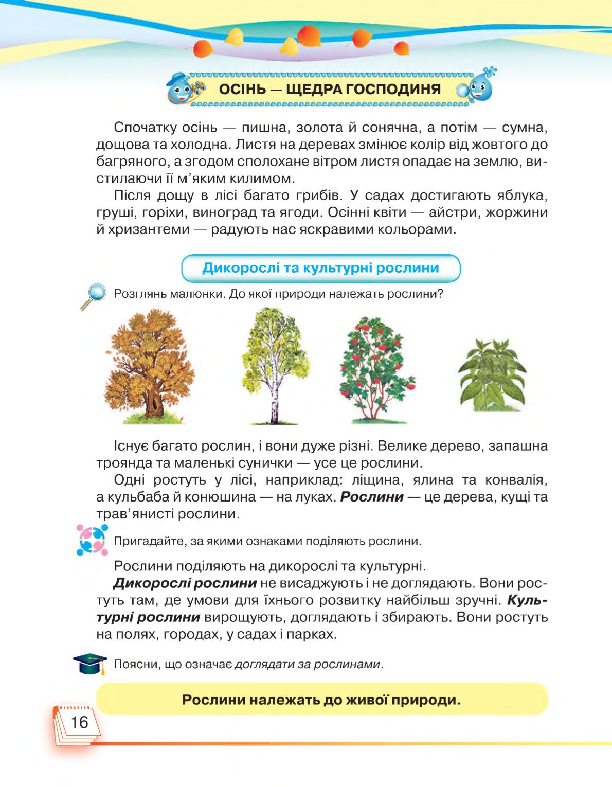 Мініатюра 16
