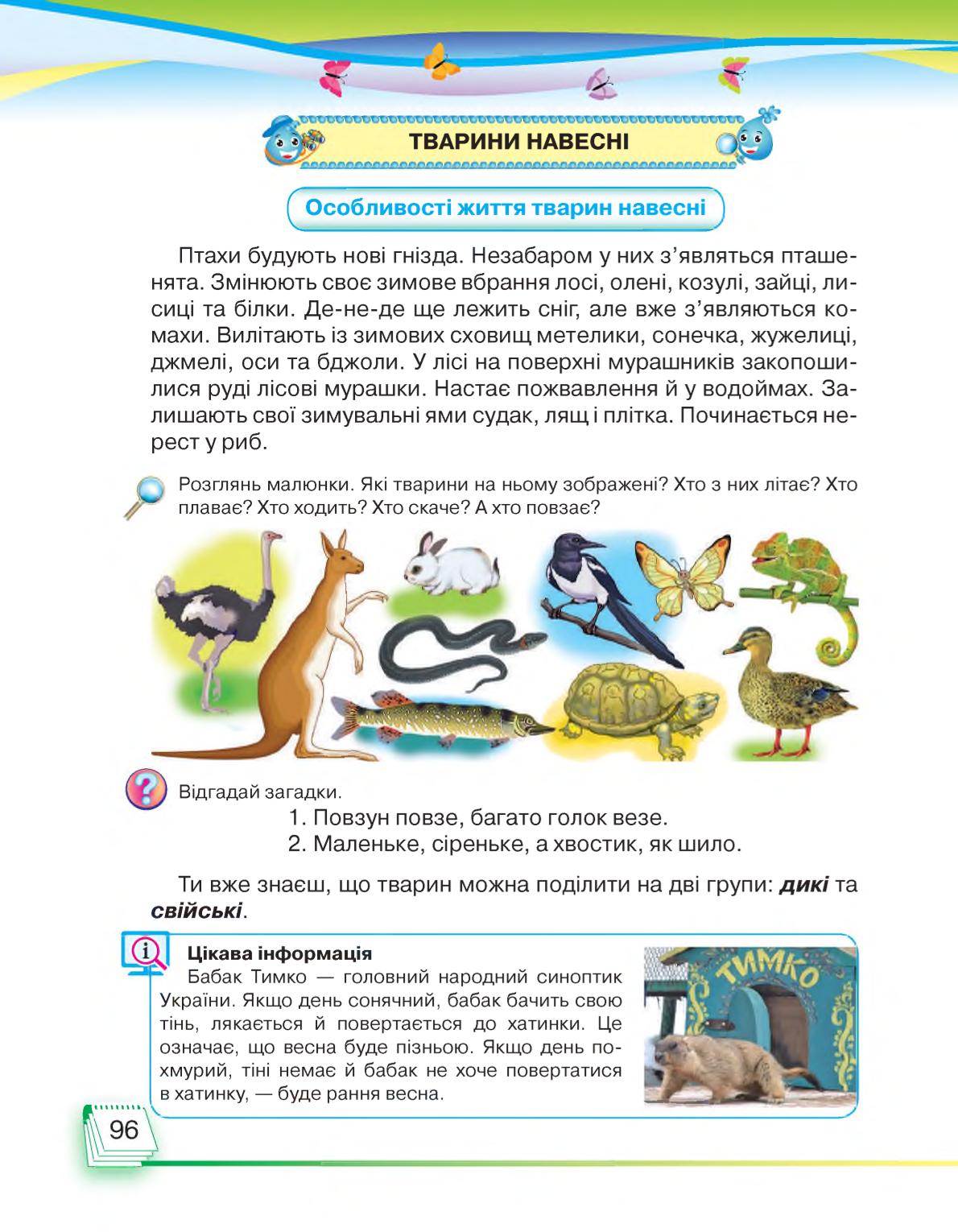 Мініатюра 96