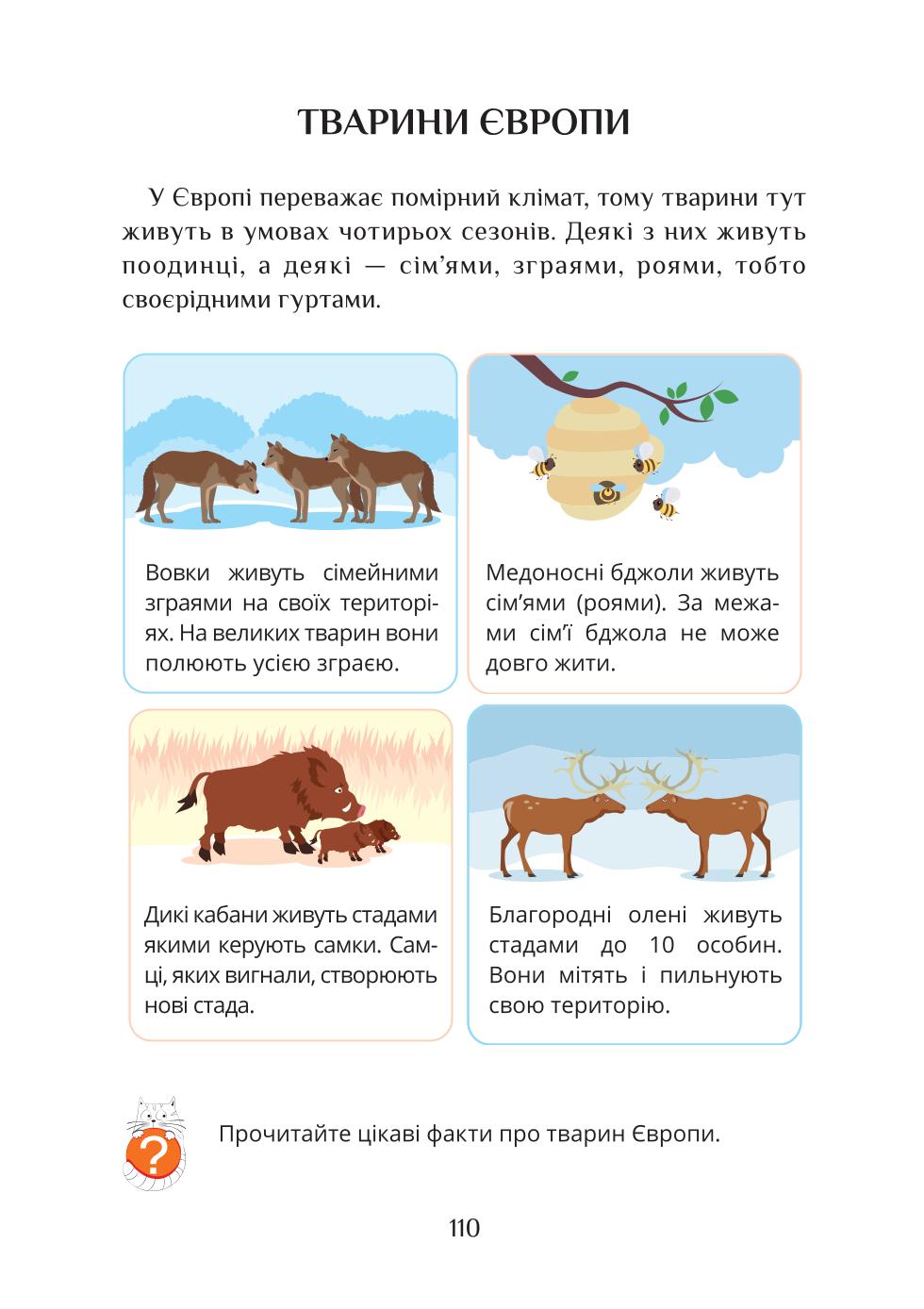 Мініатюра 110