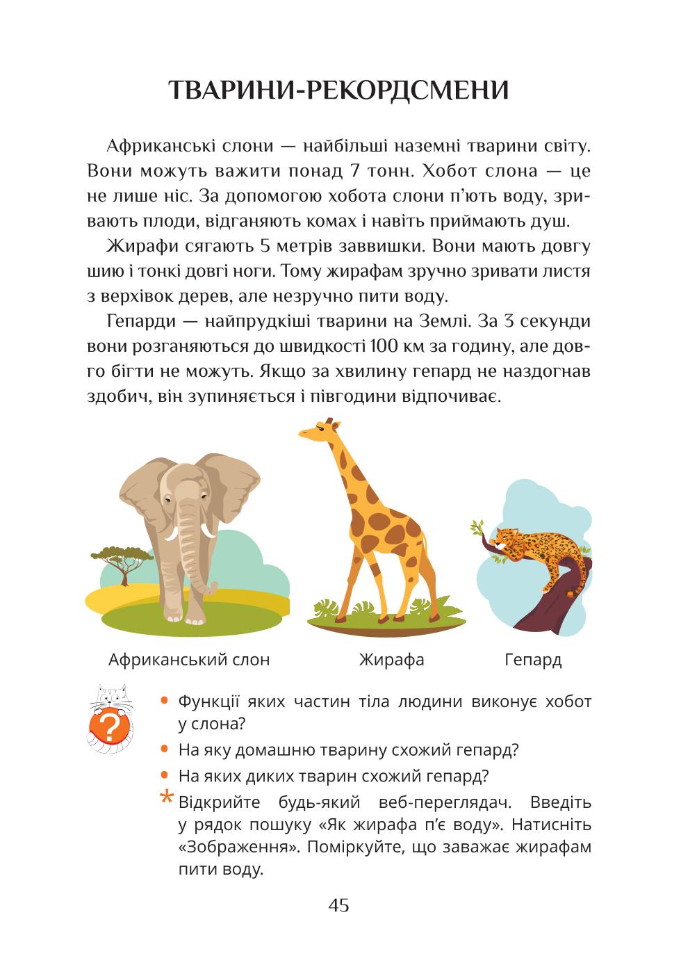 Мініатюра 45
