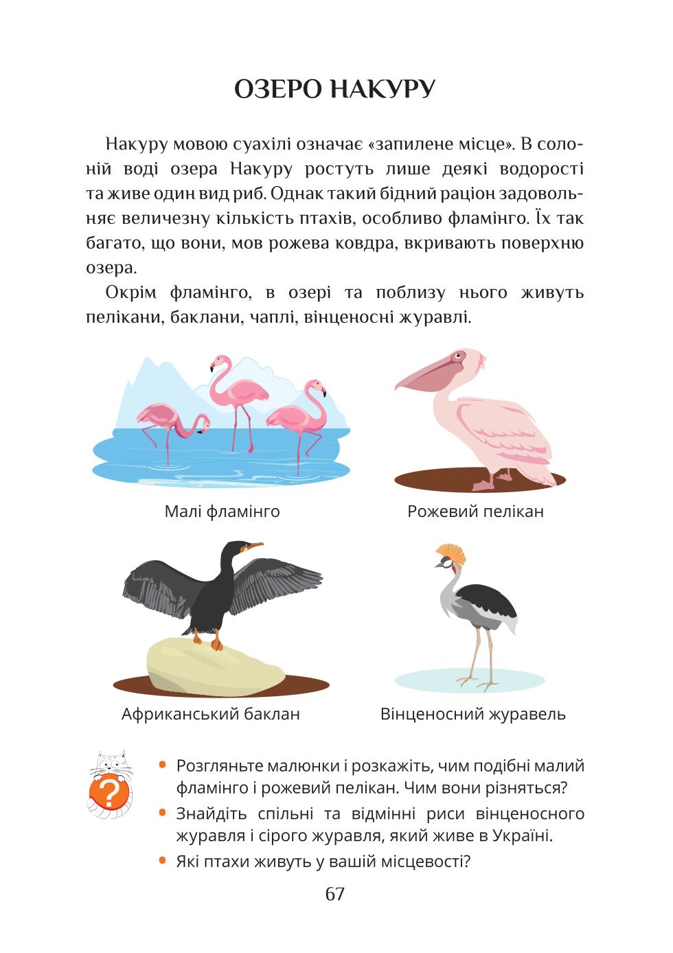 Мініатюра 67
