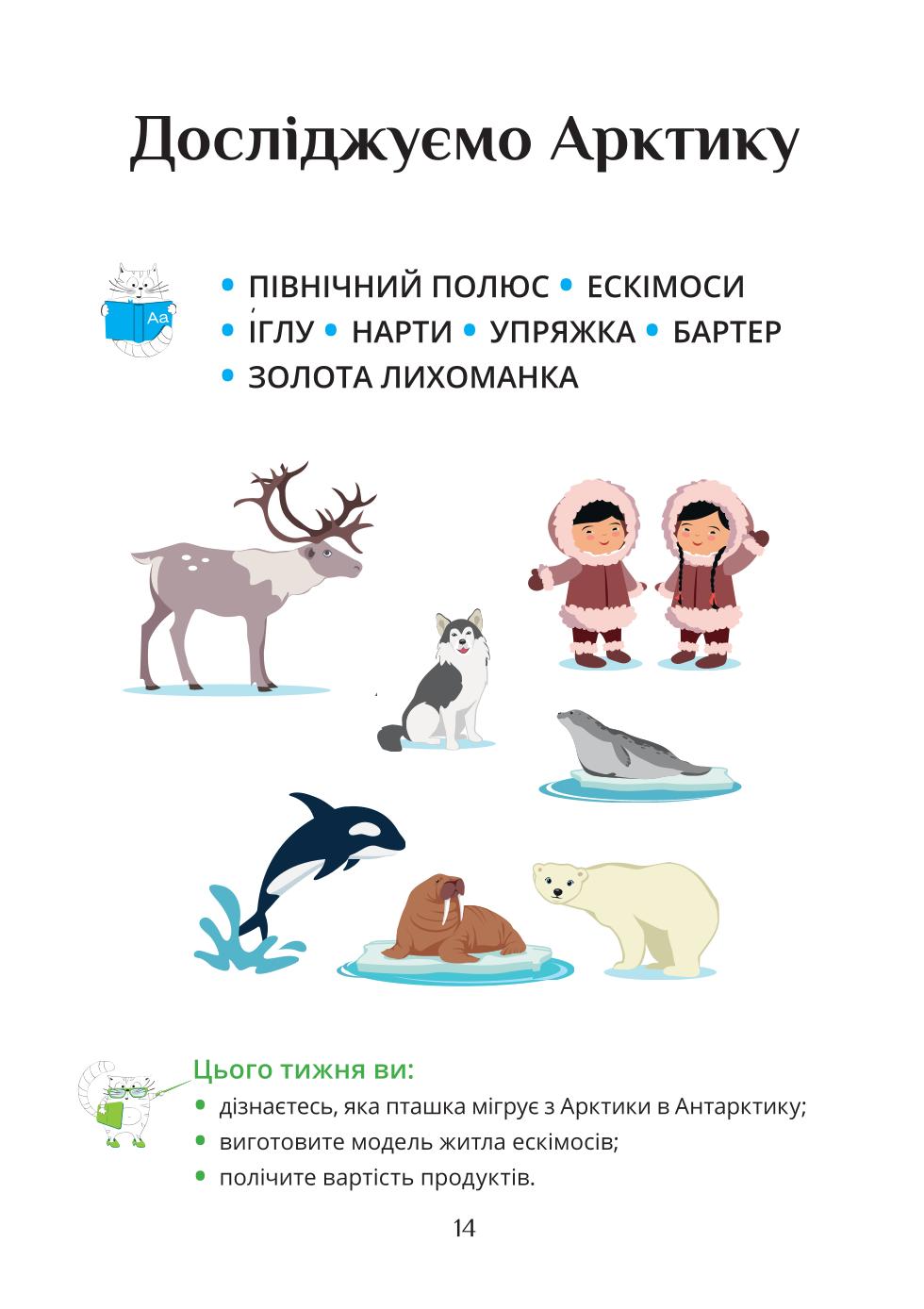 Мініатюра 14