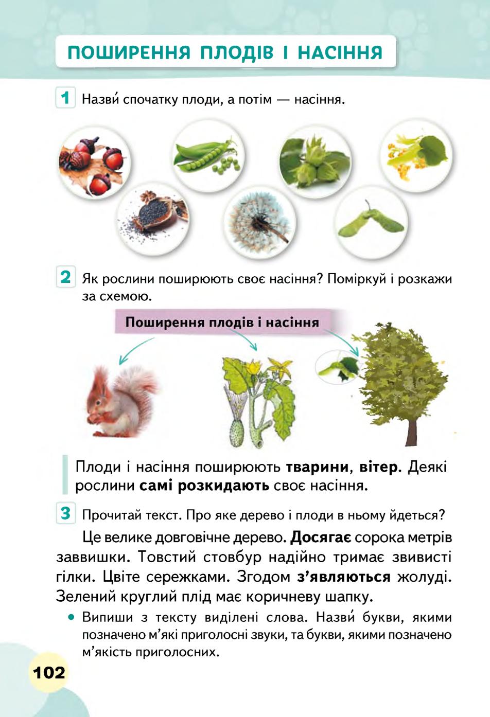 Мініатюра 102