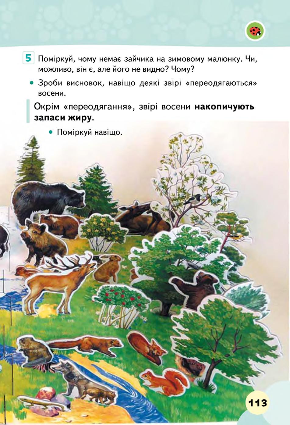Мініатюра 113