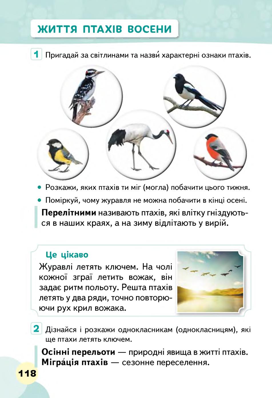 Мініатюра 118