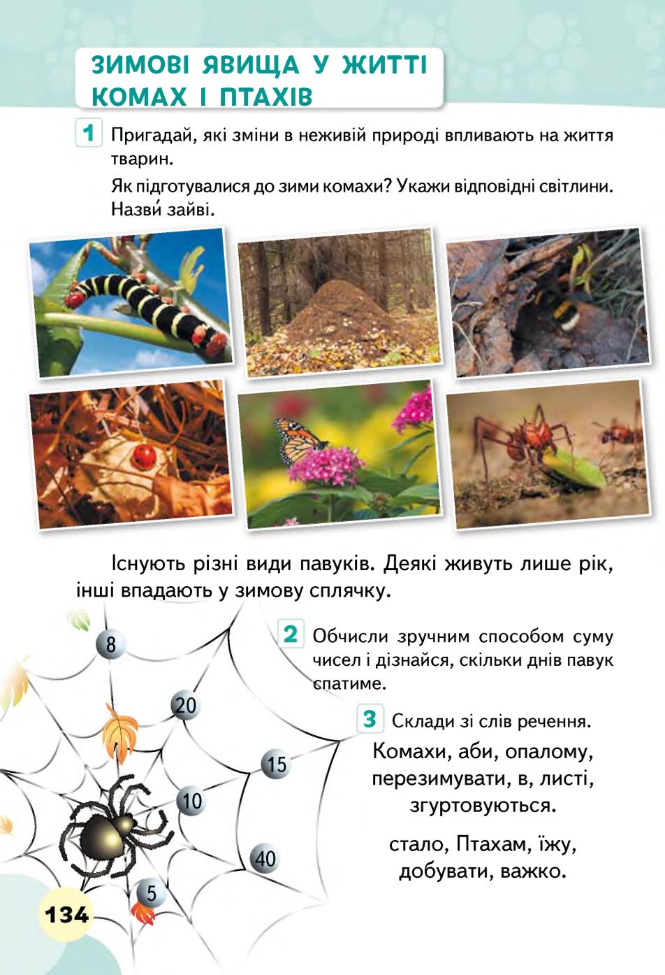 Мініатюра 134