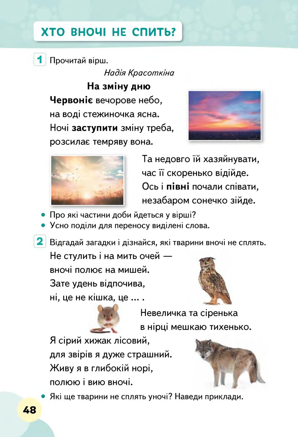 Мініатюра 48