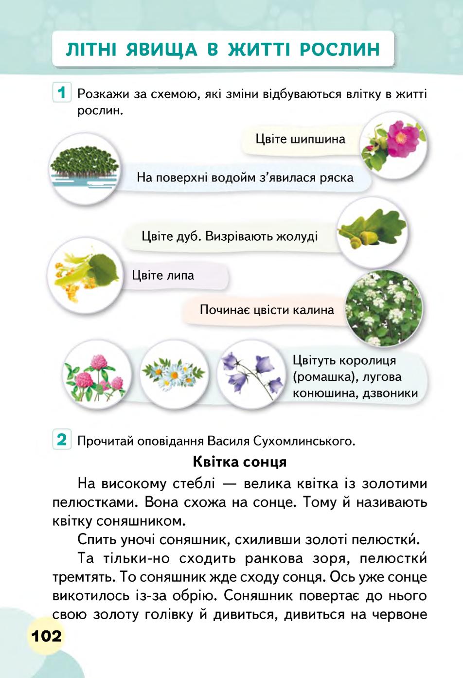 Мініатюра 102