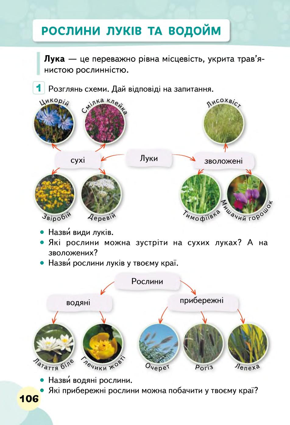 Мініатюра 106