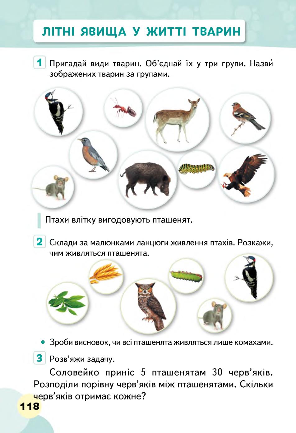 Мініатюра 118