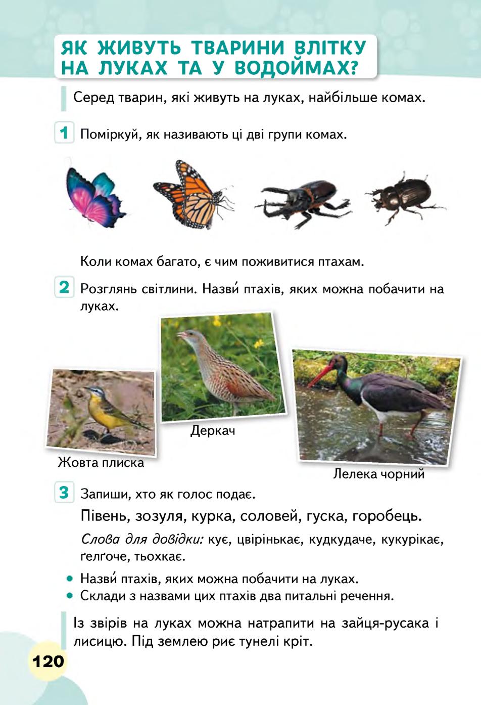 Мініатюра 120