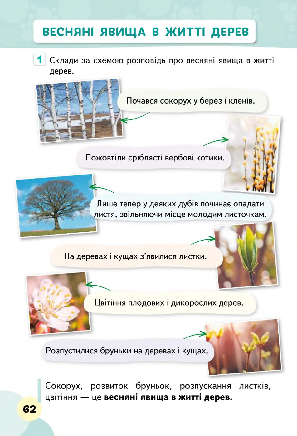 Мініатюра 62