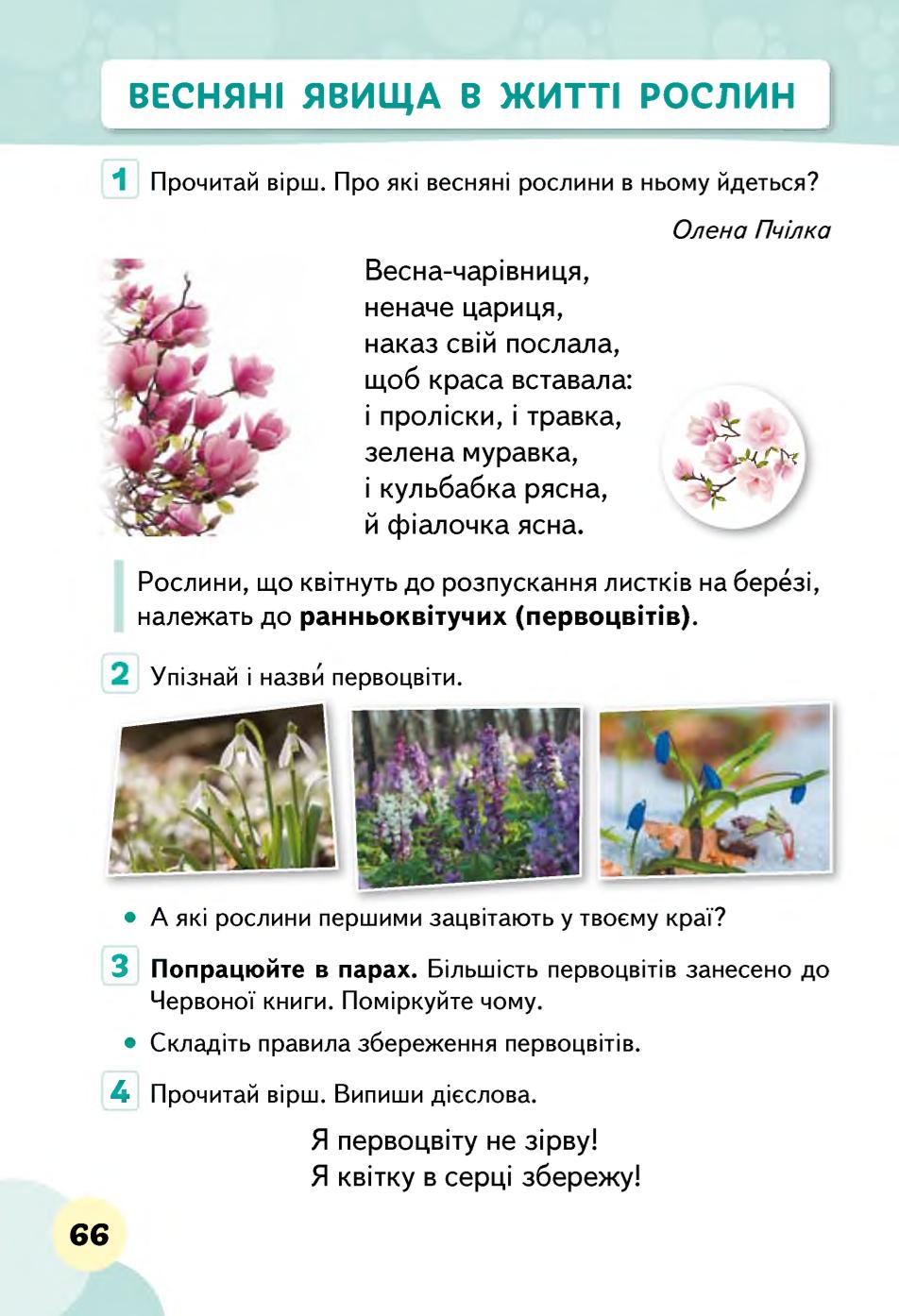 Мініатюра 66