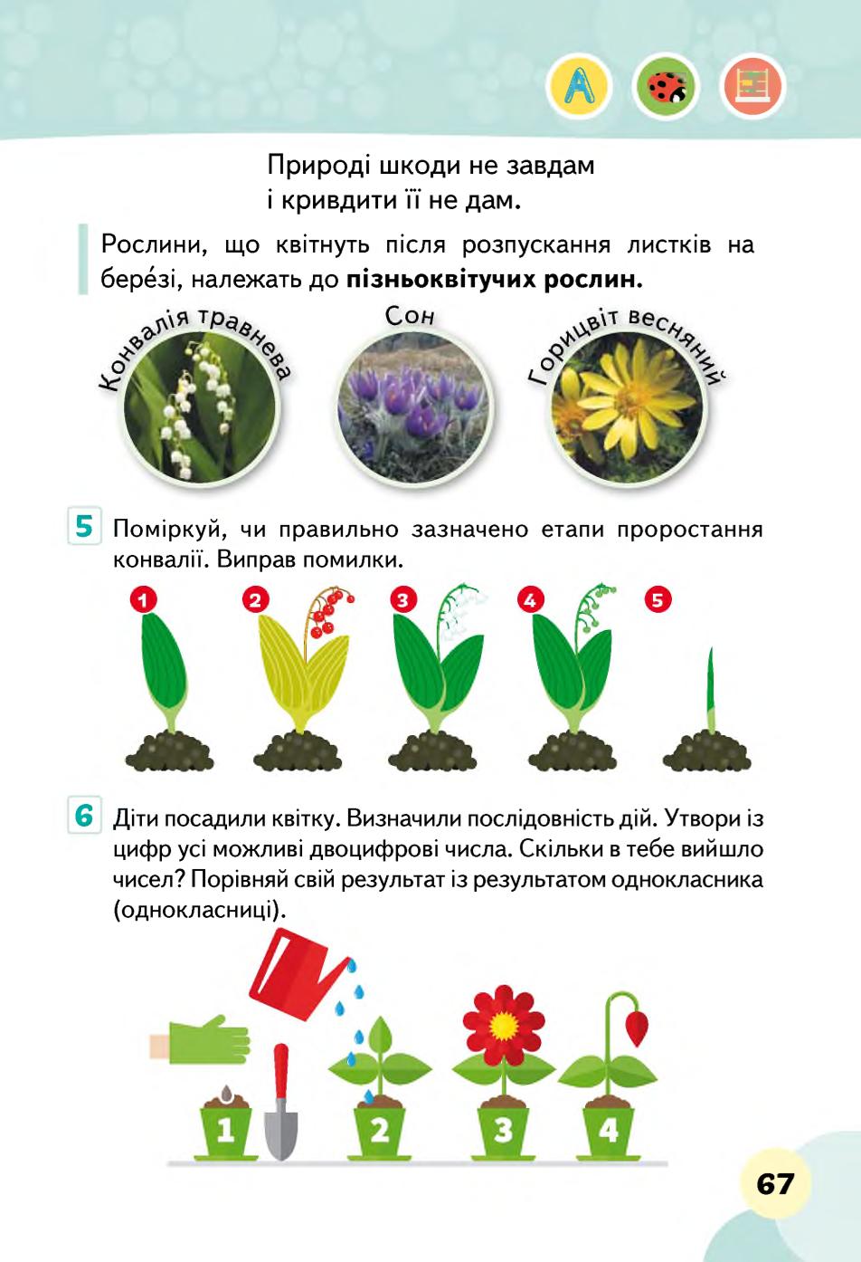 Мініатюра 67